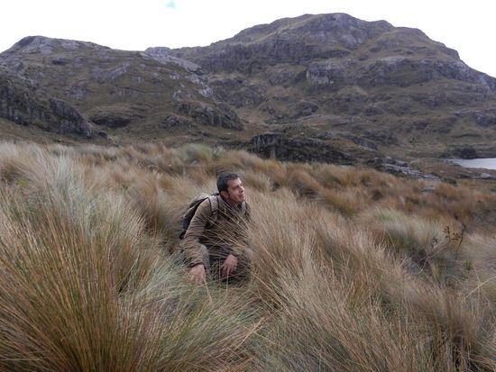 Im schoenen Pampagras