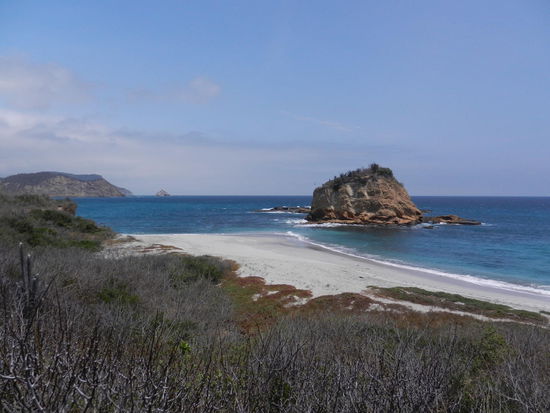 Im Machalilla-Nationalpark!
Der Strand hat tatsaechlich den Namen "La Tortuga"! Und zwar, weil hier nachts seltene Meeresschildkroeten an Land kommen um Ihre Eier abzulegen...ein wenig spaeter kann man dann hunderten kleinen Schildis zusehen, wie sie ins Meer tapseln!