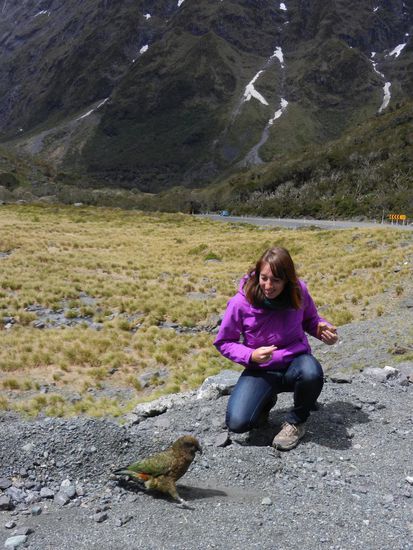 Hier trafen wir zum erstenmal auf die frechen Kea's!