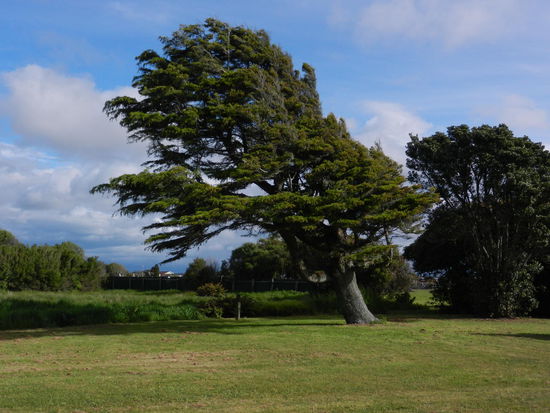 Vom Winde verweht...