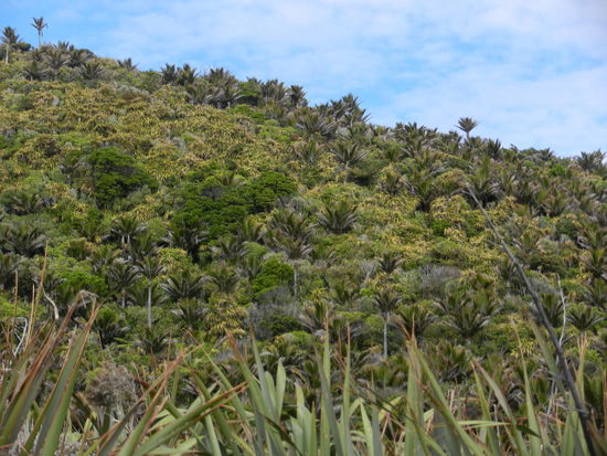 Beim Wandern an der Kueste entlang!