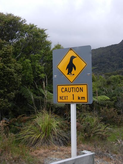 Lustiges, aber nicht seltenes Schild!