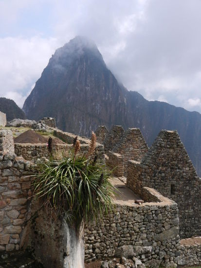 Im Hintergrund ragt der Huayna Picchu auf.
