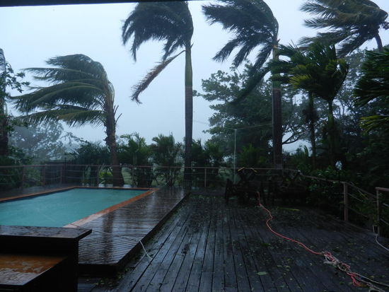 ... selbst kraeftige Koenigspalmen hatten ihm nichts entgegen zu setzen!