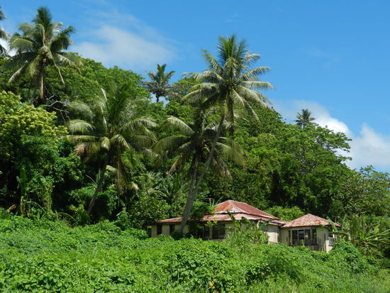 Der Osten des Landes wurde vom Zyklon verschont...alles noch gruen!