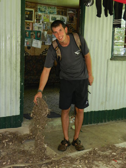 Beim Rueckweg durchs Dorf kamen wir an einem Haus vorbei, wo frisch geerntete Kavawurzeln getrocknet wurden!