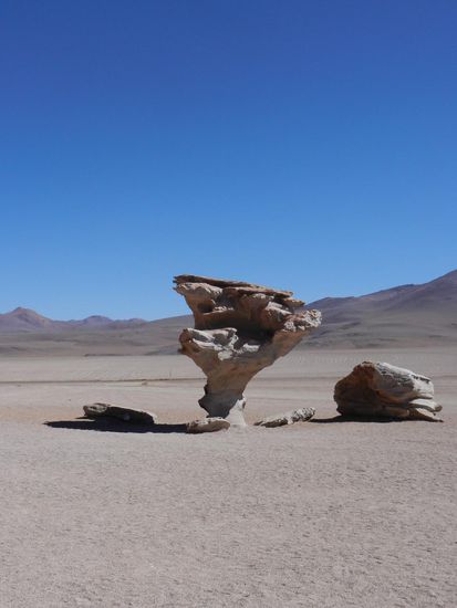 Krasse Felsen mitten in der Wueste! "Arbol del Piedra"