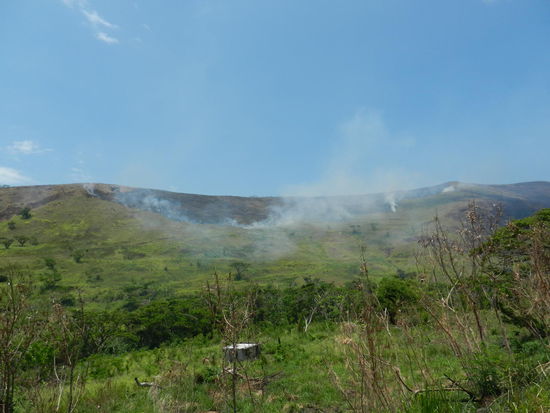 Es brennt, es brennt!