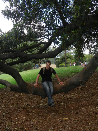 Im botanischen Garten.