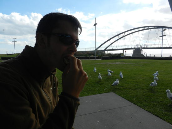 Sie warten schon hungrig...