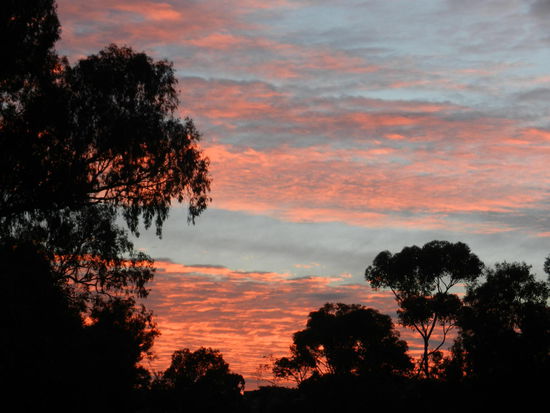 Da ich (Tom) arbeitstbedingt mittlerweile zum Fruehaufsteher geworden bin, sehe ich oefter solch schoene Sonnenaufgaenge!