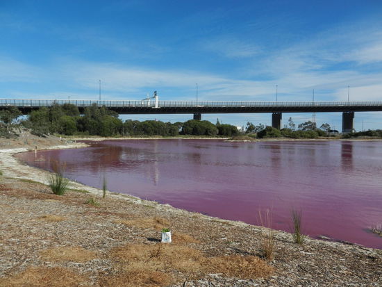 Am Wochenende haben wir einen pinken See vor den Toren der Stadt besucht.