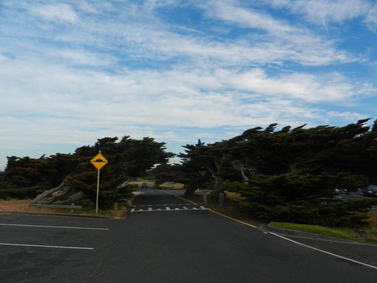 Aus welcher Richtung kommt wohl der Wind???
