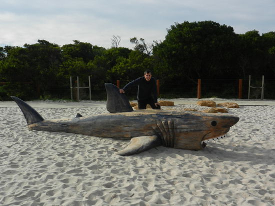 Wer hat Angst vorm holzigen Hai?