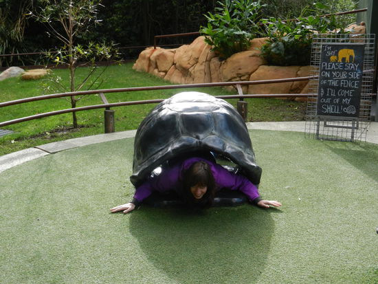 Ein uraltes Exemplar