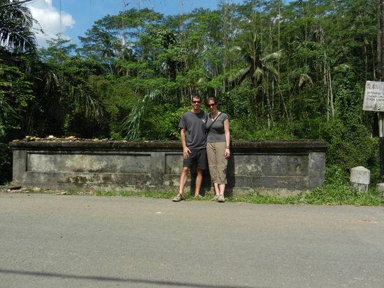 Welcome to the jungle!