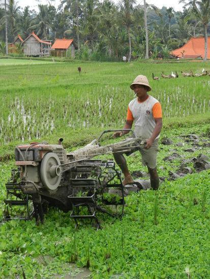 Interessantes Werkzeug