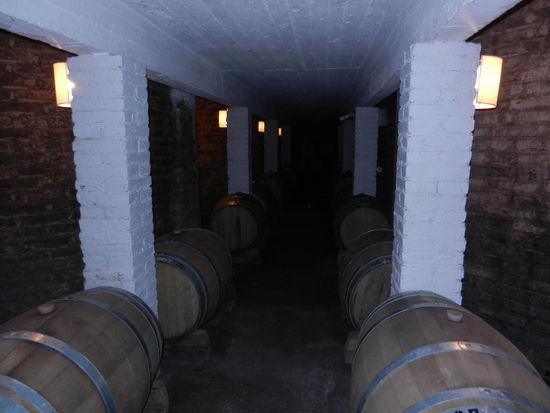 In diesem Keller wird seit 1869 Wein produziert!