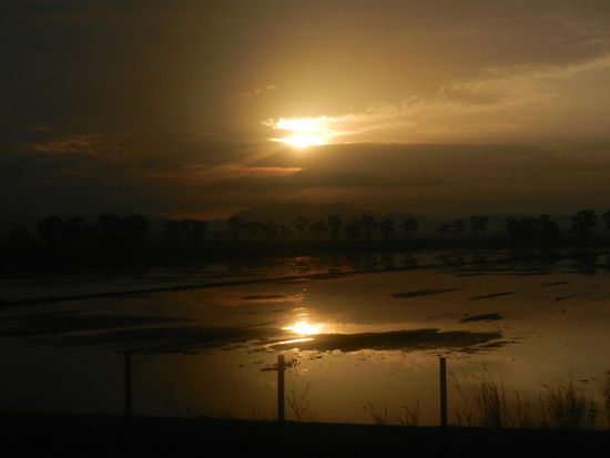 Fantastische Stimmung entlang der Reisfelder!