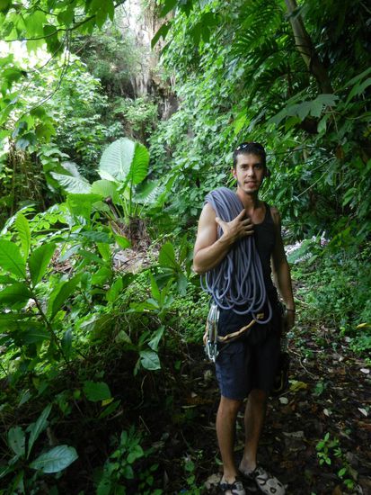 Durch den Dschungel ...