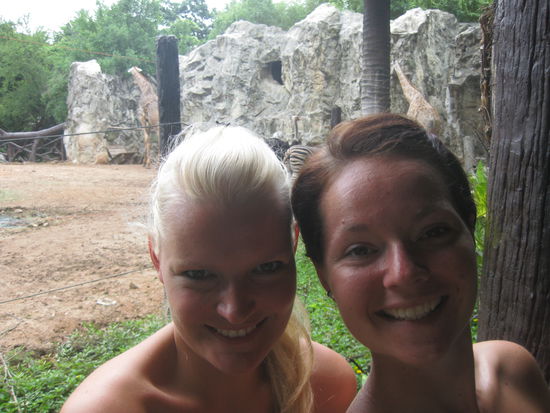 Man siehe im Hintergrund die Giraffe "Bin Laden"