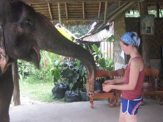 Babett und Birthe, zwei echte Freunde 