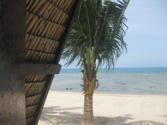 Ausblick von unserer Huette...leider Geil 