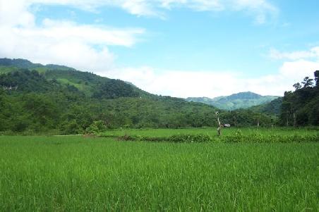 landschaft um nong kiao