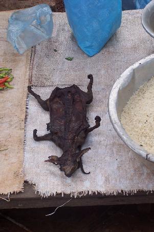 gegrillte ratte ... hmmmm. so sehe ich meine "freunde" am liebsten