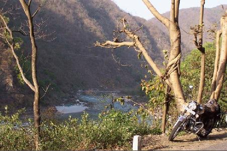am wilden ganges.