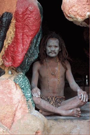 nepalesischer sadhu.