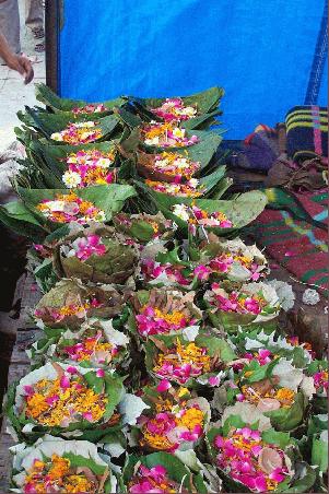 blumen für die puja
