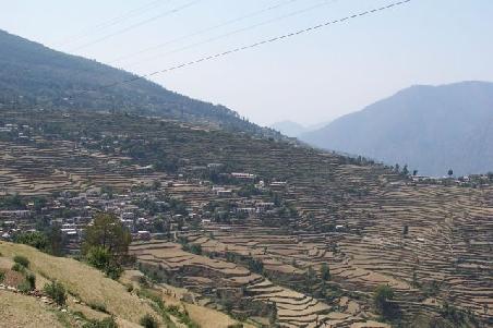 auf dem weg nach rishikesh - terassenfelder.
