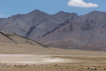 in den morey plains.