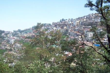 shimla - eine katastrophe.