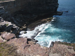 Klippen im Sydney Harbour National Park
