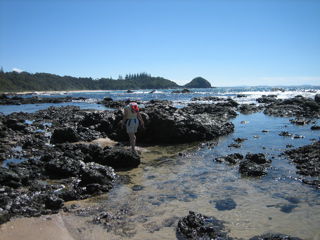 Shelly Beach