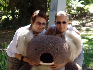 endlich ein Koala zum Knuddeln