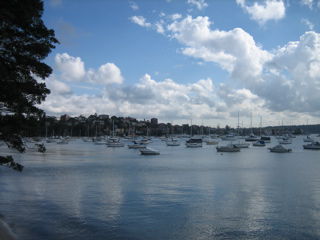 Rosebay - Sydney