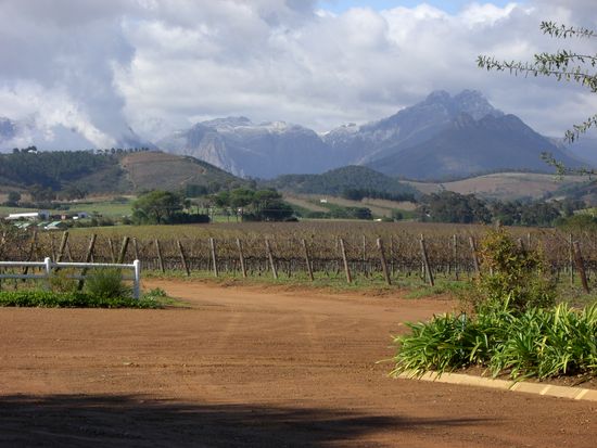Weinregion um Stellenbosch mit verschneiten Gipfeln.