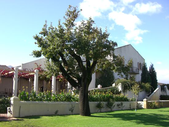 Typisches Haus in den Winelands