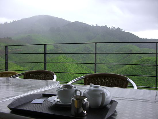 Einfach genial - und auf das haetten wir verzichten sollen? Sicher nicht!!!