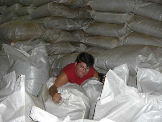 Ossi auf der Teeplantage