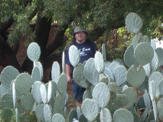 Ossi im Kaktuswald
