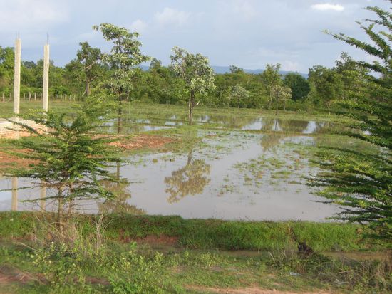 Landschaft unterwegs