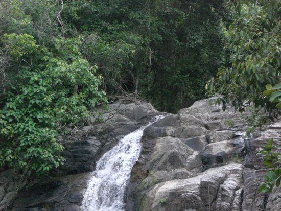 Wasserfall im Jungle