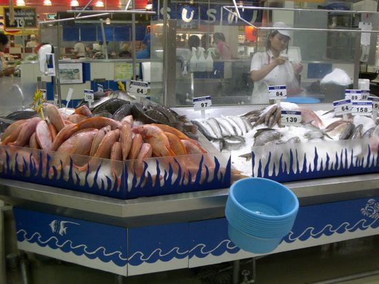 Allerlei frische Fische.