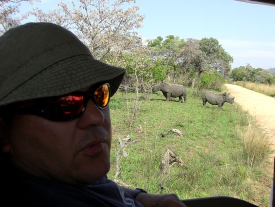 Die ersten Tiere im Krueger