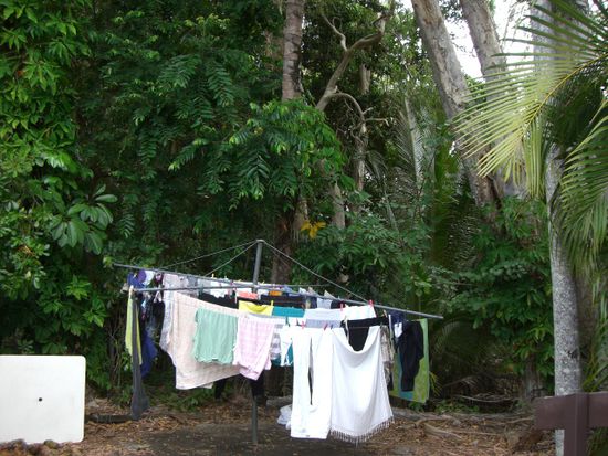 Die Kleider beim Trocknen im Jungle (Das war nicht nur meine Waesche)