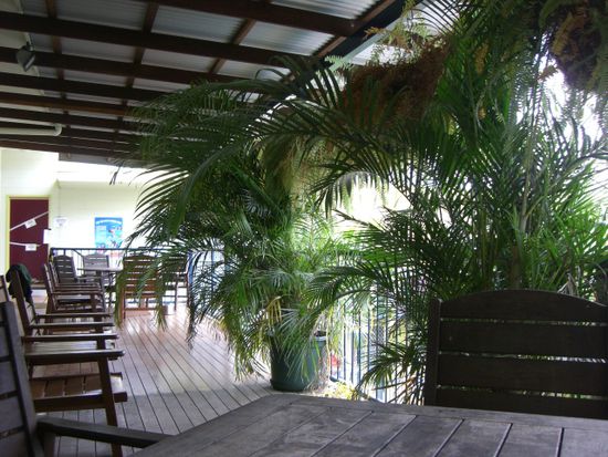 YHA Backpacker in Cairns Central.